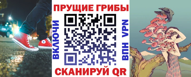 магазин    Ржев  Псилоцибиновые грибы Cubensis 