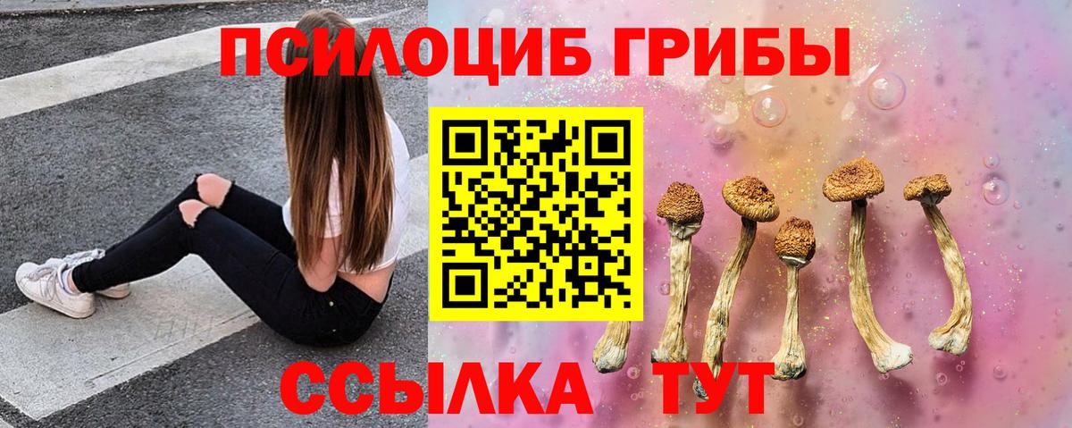 Ржев  Псилоцибиновые грибы мицелий  Псилоцибиновые грибы Cubensis  Вход с VPN 
