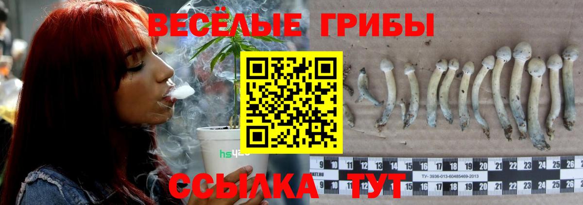 Псилоцибиновые грибы MAGIC MUSHROOMS Ржев