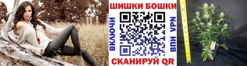 Каннабис White Widow Ржев